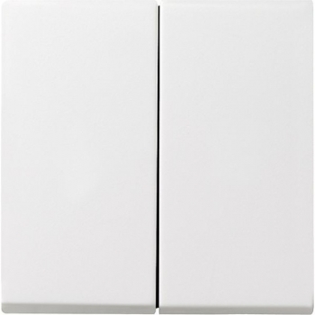 GIRA System 55, Wippe Serie, Reinweiß seidenmatt (029527)