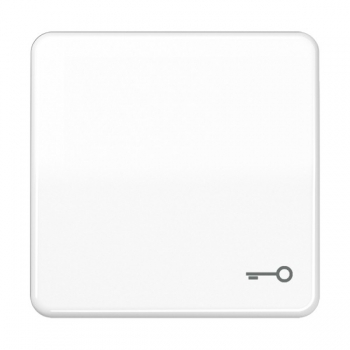 JUNG CD 500 - Wippe Tür-Symbol, Alpinweiß (CD590TWW)