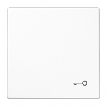 JUNG LS 990 - Wippe Tür-Symbol (LS990TWW)