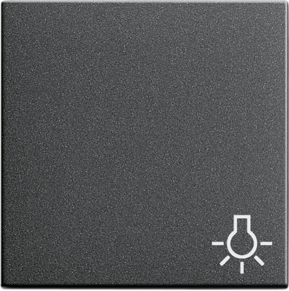 GIRA System 55, Wippe Symbol Licht, Anthrazit (028528)