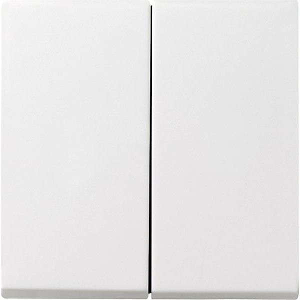 GIRA System 55, Wippe Serie, Reinweiß seidenmatt (029527)