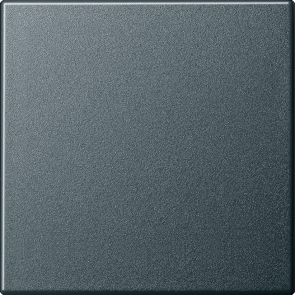 GIRA System 55, Wippe Aus/Wechsel, Anthrazit (029628)
