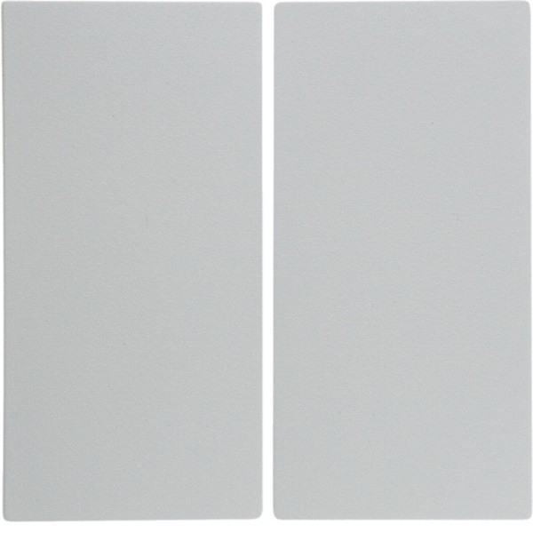 Berker 16238989 S.1 Wippe 2-fach polarweiß glänzend