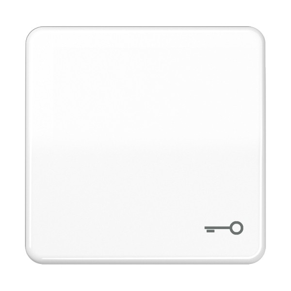JUNG CD 500 - Wippe Tür-Symbol, Alpinweiß (CD590TWW)